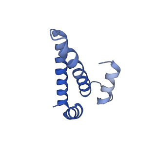 42554_8uu4_o_v1-1
Cryo-EM structure of the Listeria innocua 70S ribosome in complex with HPF (structure I-A)