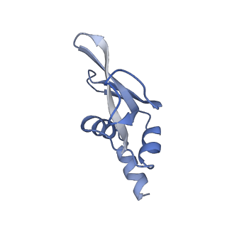 42554_8uu4_p_v1-1
Cryo-EM structure of the Listeria innocua 70S ribosome in complex with HPF (structure I-A)