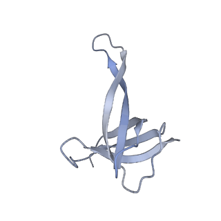 42554_8uu4_q_v1-1
Cryo-EM structure of the Listeria innocua 70S ribosome in complex with HPF (structure I-A)