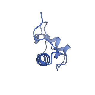 42554_8uu4_r_v1-1
Cryo-EM structure of the Listeria innocua 70S ribosome in complex with HPF (structure I-A)