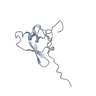 42554_8uu4_s_v1-1
Cryo-EM structure of the Listeria innocua 70S ribosome in complex with HPF (structure I-A)