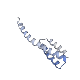 42554_8uu4_t_v1-1
Cryo-EM structure of the Listeria innocua 70S ribosome in complex with HPF (structure I-A)