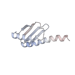 42554_8uu4_w_v1-1
Cryo-EM structure of the Listeria innocua 70S ribosome in complex with HPF (structure I-A)