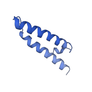 42557_8uu5_1_v1-1
Cryo-EM structure of the Listeria innocua 70S ribosome (head-swiveled) in complex with pe/E-tRNA (structure I-B)