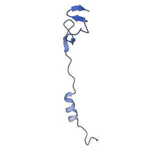 42557_8uu5_4_v1-1
Cryo-EM structure of the Listeria innocua 70S ribosome (head-swiveled) in complex with pe/E-tRNA (structure I-B)