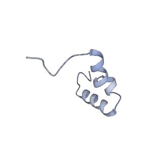 42557_8uu5_6_v1-1
Cryo-EM structure of the Listeria innocua 70S ribosome (head-swiveled) in complex with pe/E-tRNA (structure I-B)