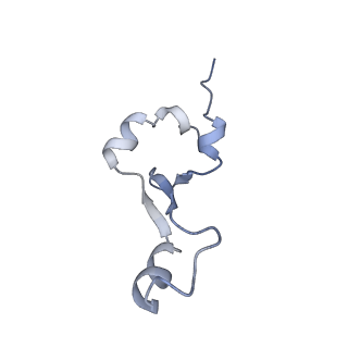 42557_8uu5_7_v1-1
Cryo-EM structure of the Listeria innocua 70S ribosome (head-swiveled) in complex with pe/E-tRNA (structure I-B)