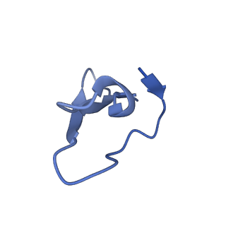 42557_8uu5_8_v1-1
Cryo-EM structure of the Listeria innocua 70S ribosome (head-swiveled) in complex with pe/E-tRNA (structure I-B)