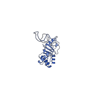 42557_8uu5_E_v1-1
Cryo-EM structure of the Listeria innocua 70S ribosome (head-swiveled) in complex with pe/E-tRNA (structure I-B)