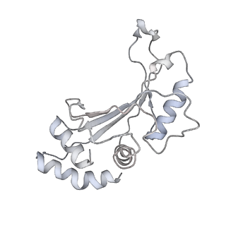 42557_8uu5_F_v1-1
Cryo-EM structure of the Listeria innocua 70S ribosome (head-swiveled) in complex with pe/E-tRNA (structure I-B)