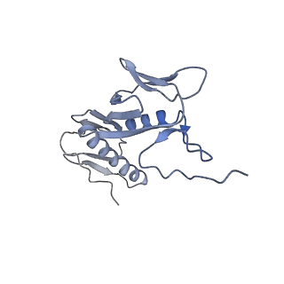 42557_8uu5_G_v1-1
Cryo-EM structure of the Listeria innocua 70S ribosome (head-swiveled) in complex with pe/E-tRNA (structure I-B)