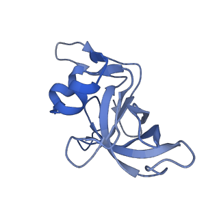 42557_8uu5_M_v1-1
Cryo-EM structure of the Listeria innocua 70S ribosome (head-swiveled) in complex with pe/E-tRNA (structure I-B)