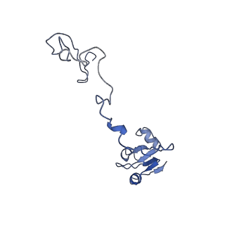 42557_8uu5_N_v1-1
Cryo-EM structure of the Listeria innocua 70S ribosome (head-swiveled) in complex with pe/E-tRNA (structure I-B)