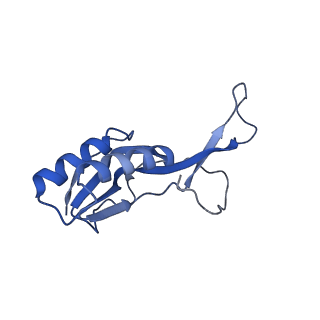 42557_8uu5_O_v1-1
Cryo-EM structure of the Listeria innocua 70S ribosome (head-swiveled) in complex with pe/E-tRNA (structure I-B)