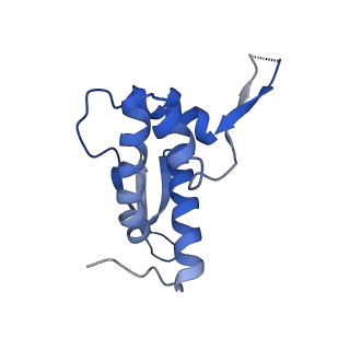 42557_8uu5_P_v1-1
Cryo-EM structure of the Listeria innocua 70S ribosome (head-swiveled) in complex with pe/E-tRNA (structure I-B)