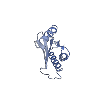 42557_8uu5_Q_v1-1
Cryo-EM structure of the Listeria innocua 70S ribosome (head-swiveled) in complex with pe/E-tRNA (structure I-B)