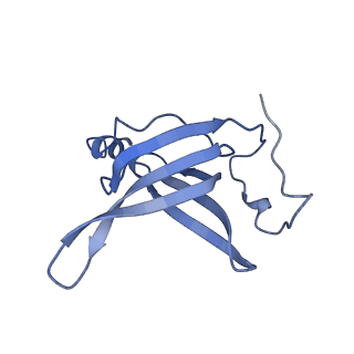 42557_8uu5_R_v1-1
Cryo-EM structure of the Listeria innocua 70S ribosome (head-swiveled) in complex with pe/E-tRNA (structure I-B)