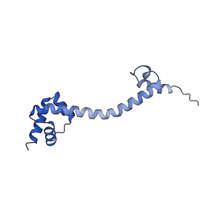 42557_8uu5_S_v1-1
Cryo-EM structure of the Listeria innocua 70S ribosome (head-swiveled) in complex with pe/E-tRNA (structure I-B)