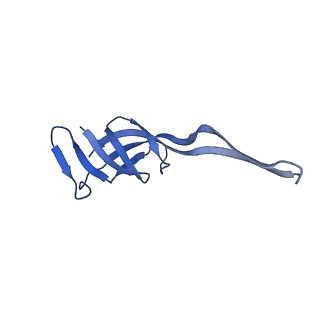 42557_8uu5_T_v1-1
Cryo-EM structure of the Listeria innocua 70S ribosome (head-swiveled) in complex with pe/E-tRNA (structure I-B)