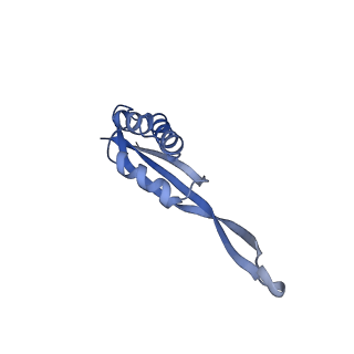 42557_8uu5_U_v1-1
Cryo-EM structure of the Listeria innocua 70S ribosome (head-swiveled) in complex with pe/E-tRNA (structure I-B)