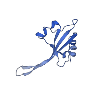 42557_8uu5_V_v1-1
Cryo-EM structure of the Listeria innocua 70S ribosome (head-swiveled) in complex with pe/E-tRNA (structure I-B)