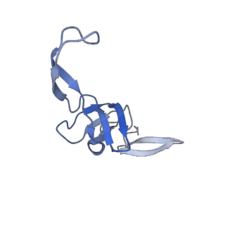 42557_8uu5_W_v1-1
Cryo-EM structure of the Listeria innocua 70S ribosome (head-swiveled) in complex with pe/E-tRNA (structure I-B)