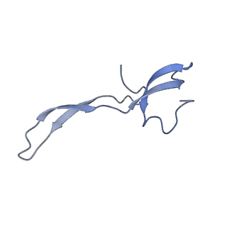 42557_8uu5_Z_v1-1
Cryo-EM structure of the Listeria innocua 70S ribosome (head-swiveled) in complex with pe/E-tRNA (structure I-B)