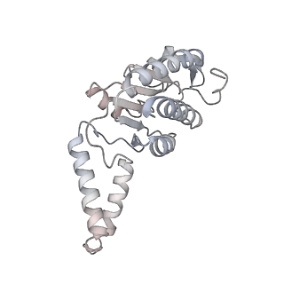 42557_8uu5_b_v1-1
Cryo-EM structure of the Listeria innocua 70S ribosome (head-swiveled) in complex with pe/E-tRNA (structure I-B)