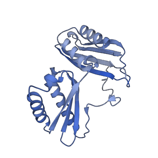 42557_8uu5_c_v1-1
Cryo-EM structure of the Listeria innocua 70S ribosome (head-swiveled) in complex with pe/E-tRNA (structure I-B)