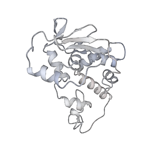 42557_8uu5_d_v1-1
Cryo-EM structure of the Listeria innocua 70S ribosome (head-swiveled) in complex with pe/E-tRNA (structure I-B)