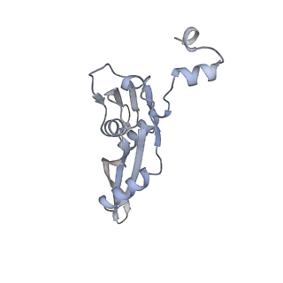 42557_8uu5_e_v1-1
Cryo-EM structure of the Listeria innocua 70S ribosome (head-swiveled) in complex with pe/E-tRNA (structure I-B)