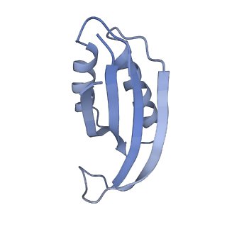 42557_8uu5_f_v1-1
Cryo-EM structure of the Listeria innocua 70S ribosome (head-swiveled) in complex with pe/E-tRNA (structure I-B)