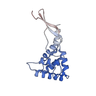 42557_8uu5_g_v1-1
Cryo-EM structure of the Listeria innocua 70S ribosome (head-swiveled) in complex with pe/E-tRNA (structure I-B)