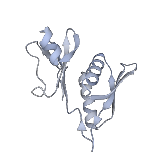 42557_8uu5_h_v1-1
Cryo-EM structure of the Listeria innocua 70S ribosome (head-swiveled) in complex with pe/E-tRNA (structure I-B)