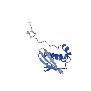 42557_8uu5_i_v1-1
Cryo-EM structure of the Listeria innocua 70S ribosome (head-swiveled) in complex with pe/E-tRNA (structure I-B)