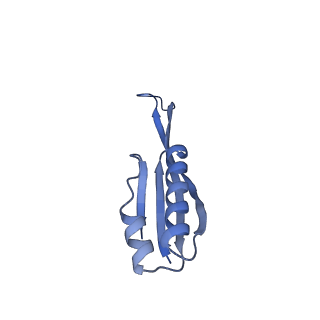 42557_8uu5_j_v1-1
Cryo-EM structure of the Listeria innocua 70S ribosome (head-swiveled) in complex with pe/E-tRNA (structure I-B)