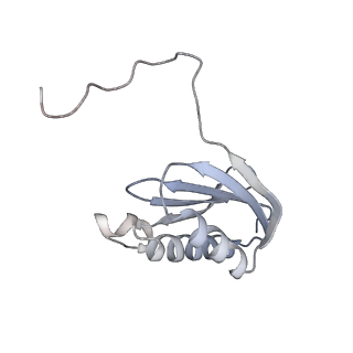 42557_8uu5_k_v1-1
Cryo-EM structure of the Listeria innocua 70S ribosome (head-swiveled) in complex with pe/E-tRNA (structure I-B)