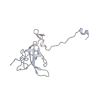 42557_8uu5_l_v1-1
Cryo-EM structure of the Listeria innocua 70S ribosome (head-swiveled) in complex with pe/E-tRNA (structure I-B)