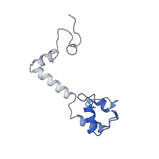 42557_8uu5_m_v1-1
Cryo-EM structure of the Listeria innocua 70S ribosome (head-swiveled) in complex with pe/E-tRNA (structure I-B)