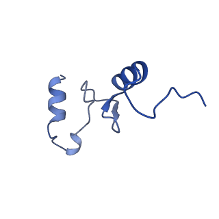 42557_8uu5_n_v1-1
Cryo-EM structure of the Listeria innocua 70S ribosome (head-swiveled) in complex with pe/E-tRNA (structure I-B)