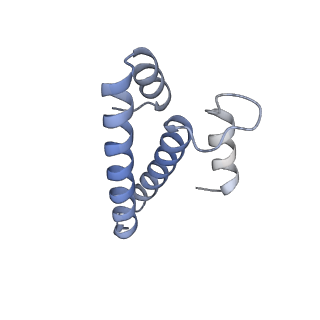 42557_8uu5_o_v1-1
Cryo-EM structure of the Listeria innocua 70S ribosome (head-swiveled) in complex with pe/E-tRNA (structure I-B)