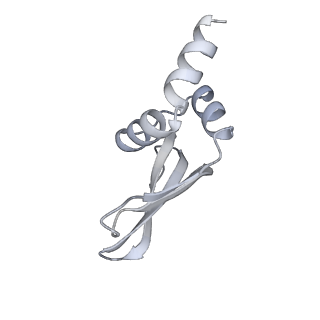 42557_8uu5_p_v1-1
Cryo-EM structure of the Listeria innocua 70S ribosome (head-swiveled) in complex with pe/E-tRNA (structure I-B)