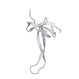 42557_8uu5_q_v1-1
Cryo-EM structure of the Listeria innocua 70S ribosome (head-swiveled) in complex with pe/E-tRNA (structure I-B)