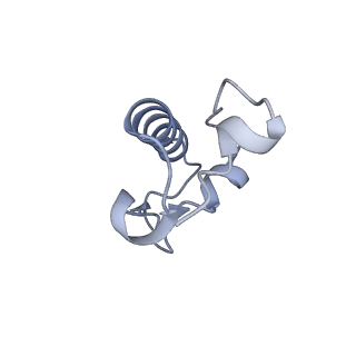 42557_8uu5_r_v1-1
Cryo-EM structure of the Listeria innocua 70S ribosome (head-swiveled) in complex with pe/E-tRNA (structure I-B)