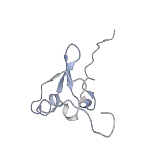 42557_8uu5_s_v1-1
Cryo-EM structure of the Listeria innocua 70S ribosome (head-swiveled) in complex with pe/E-tRNA (structure I-B)