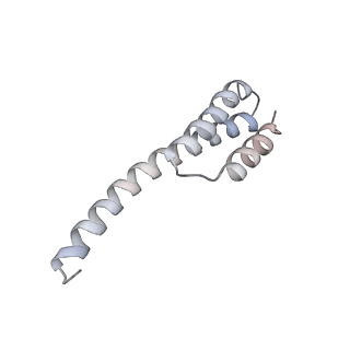 42557_8uu5_t_v1-1
Cryo-EM structure of the Listeria innocua 70S ribosome (head-swiveled) in complex with pe/E-tRNA (structure I-B)