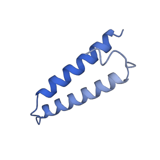 42561_8uu6_1_v1-1
Cryo-EM structure of the ratcheted Listeria innocua 70S ribosome in complex with p/E-tRNA (structure II-A)