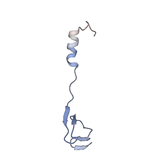 42561_8uu6_4_v1-1
Cryo-EM structure of the ratcheted Listeria innocua 70S ribosome in complex with p/E-tRNA (structure II-A)