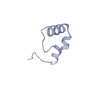 42561_8uu6_6_v1-1
Cryo-EM structure of the ratcheted Listeria innocua 70S ribosome in complex with p/E-tRNA (structure II-A)