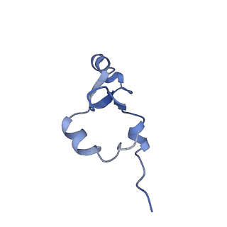 42561_8uu6_7_v1-1
Cryo-EM structure of the ratcheted Listeria innocua 70S ribosome in complex with p/E-tRNA (structure II-A)